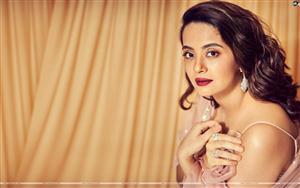 Surveen Chawla - Dusky beauty in a graceful avatar